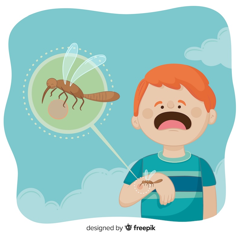 dengue fever